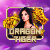 Dragon Tiger jilittt live casino